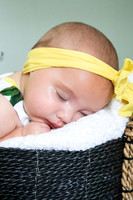 Shelby Stewart Newborn