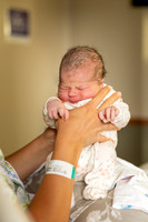 Haley Braddy Newborns