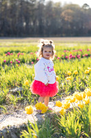 Samantha Hill Tulip Mini