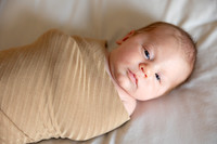 Stephanie Dorius Newborn