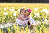 Taylor and Vandetta Tulip Minis