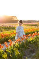 Jennifer Brown Tulip Minis